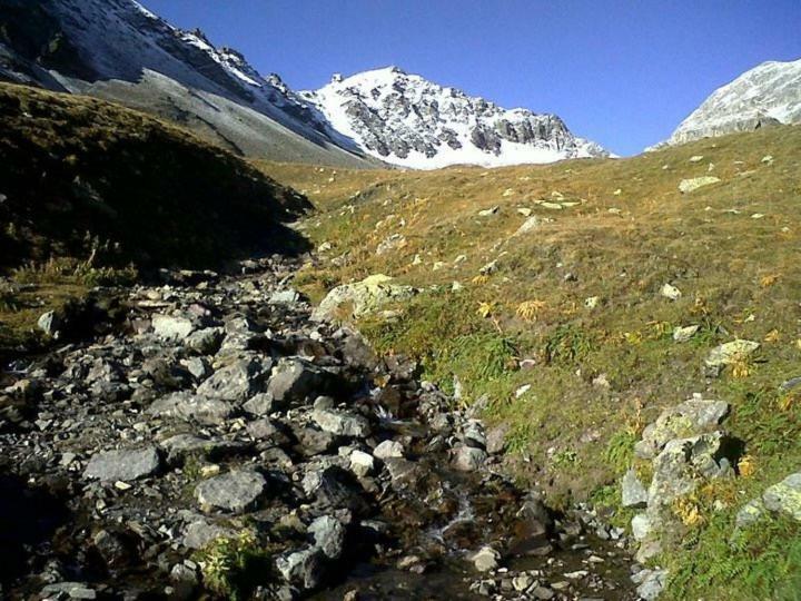 Sankt Moritz Chesa Ruinatsch 50 Apartment Ngoại thất bức ảnh